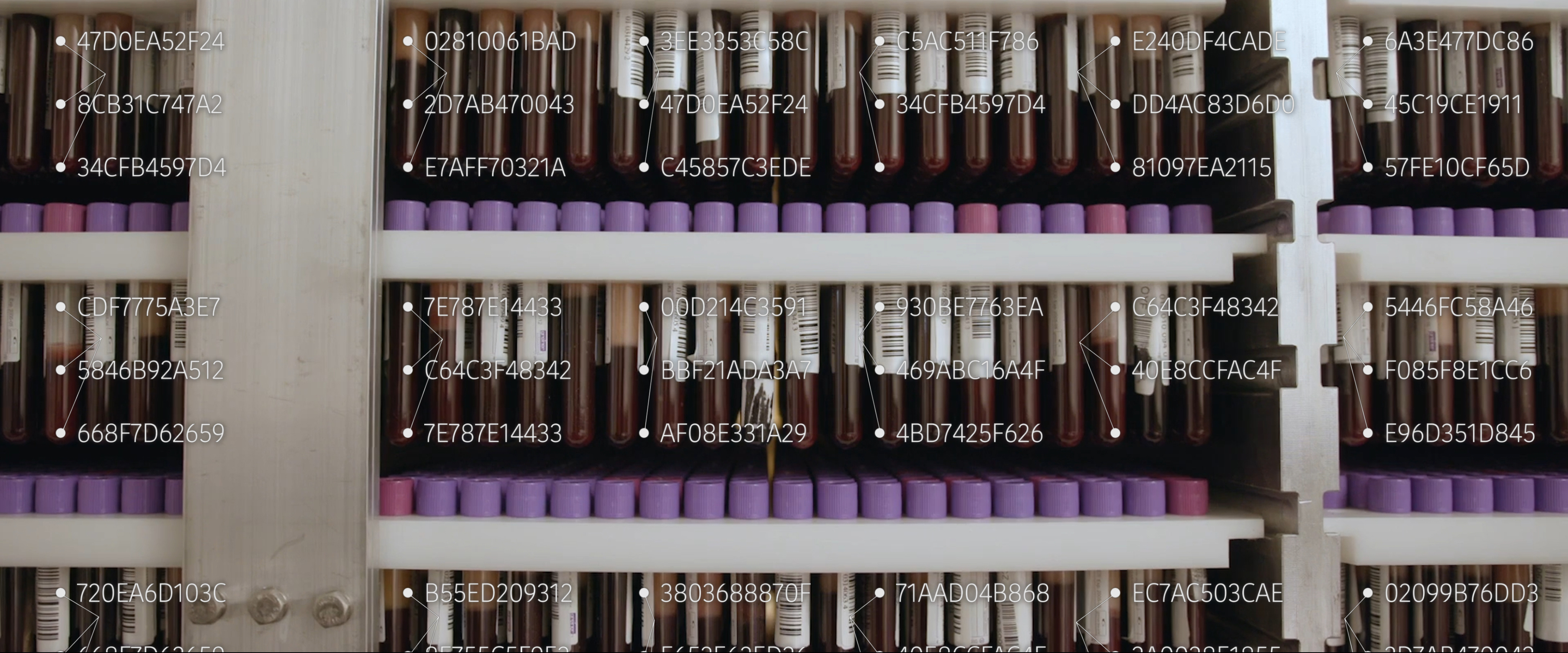Blood sample tubes in a laboratory storage system with digital data overlay, representing medical research, diagnostics and innovation in life sciences.